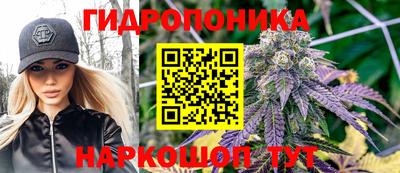 ГАЛЛЮЦИНОГЕННЫЕ ГРИБЫ Усть-Джегута
