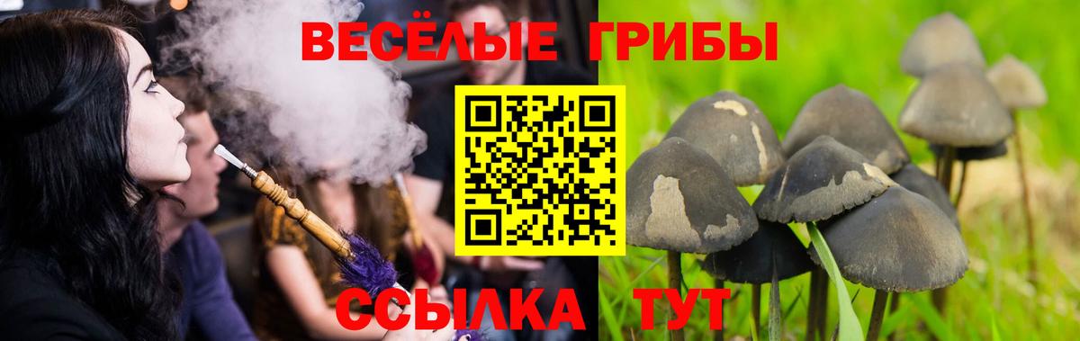 Псилоцибиновые грибы мухоморы Вичуга